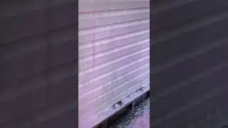Облил дом пеной...