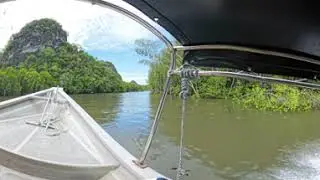 Langkawi - Mangrove boat ride 240524 (part 1) 360 video
