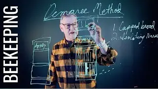 Beekeeping Demaree Method:  How To Keep A Hive From Swarming
