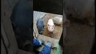 Детский сад 27. Самоизоляция. Воспитанники развлекаются 😁