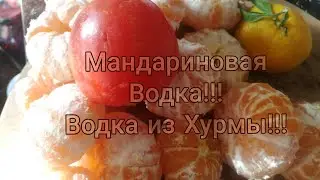 Мандариновая водка. Водка из Хурмы!!! Мацерация. Напитки к Новогоднему столу!!!