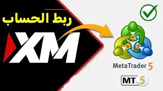 ربط حساب فوركس XM مع metatrader5