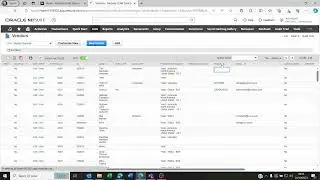 How to mass delete customers vendors and other entities on NetSuite