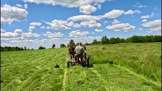 A GORGEOUS DAY TO MAKE SOME HAY 