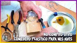 No compro otro comedero plástico para mis aves🦜