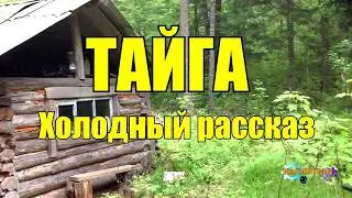 ТАЙГА | Холодный рассказ