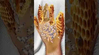 hand 🙄