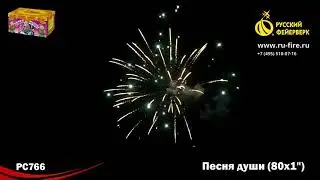РС766  Песня души