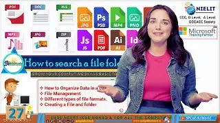 A Comprehensive Guide on How to Search Files | Understanding Different File Formats