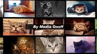 Mosaic Photo Gallery Animation Effects in After Effects