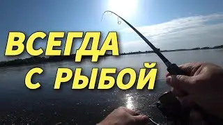 На эти приманки всегда с рыбой.Рыбалка