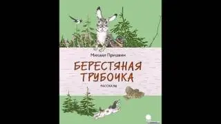 Берестяная трубочка