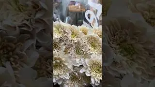 Ванила ты меня манила
