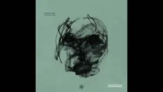 Premiere: Clarence Rise - Cold Idol [Cellar Door Records]
