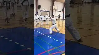 Yamaguchi-Sensei demonstrating kata Chinte