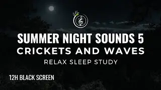 12 Hours of Calming Summer Night Sounds |5| Crickets and Ocean Waves for Deep Sleep