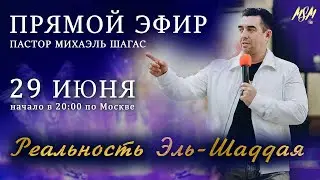РЕАЛЬНОСТЬ ЭЛЬ-ШАДДАЯ | Пророк Михаэль Шагас | 29 июня