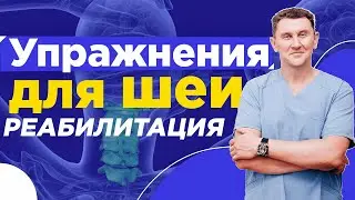 Шейный отдел позвоночника - Реабилитация после операции. Нейрохирург Александр Печиборщ