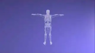 sfera.mp4