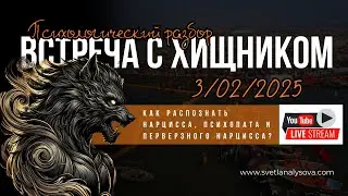 ВСТРЕЧА С ХИЩНИКОМ: как распознать нарцисса, психопата и перверзного нарцисса?