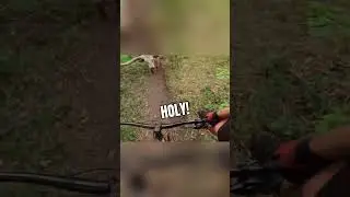 He Wasn't Expecting THAT (@jdvellinga)