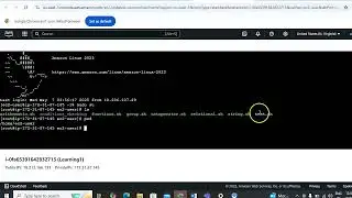 Shell Scripting: Mastering File Test Operators with Real-Time Examples