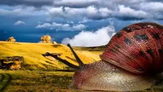 Snail