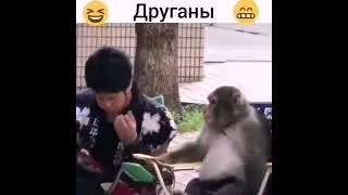 шок!!!Нове приколы Свежайшие смотреть всем приколы февраля