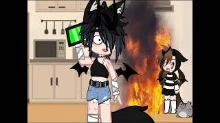 -Да мы просто готовим,с енотами..🦝