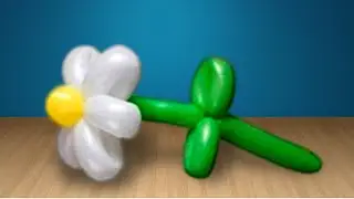Ромашка из шаров шдм / Daisy of balloons.