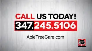 Tree Service - Bronx, Manhattan, Lower Westchester  - Able Tree Care