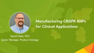 Manufacturing CRISPR RNPs for Clinical Applications
