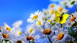 Happy Study Music, Concentration, Memory, Focus | 3 Hours Upbeat Study Music for Reading