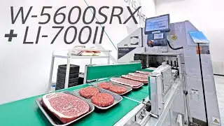 W-5600SRX + LI-700II High-speed in-line stretch wrapping and labeling