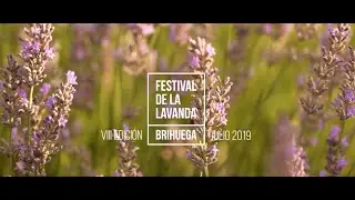 Festival de la Lavanda resumen edición2019 1'39''