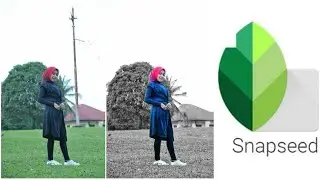 SNAPSEED || BLack - White Background / Menghilangkan objek