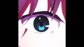 SUGAR by Factly