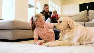 V.I.P. Carpet Cleaning Commercial