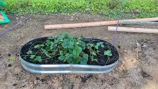 Easy to Assemble Raised Beds for Easy Gardening