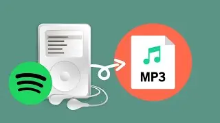 Simplest Way to Export Spotify Playlist In MP3 Format [2022 UPDATED]
