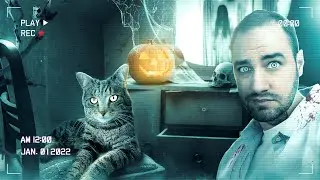 J'ai fait une décoration d'halloween avec mon chat  ! 😱