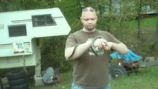 Black Snake  taming video.MP4