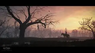 Witcher 3 soundtrack Velen/Novigrad forest exploration