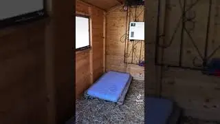 Kangal Kıtmir kulübesi 🏠