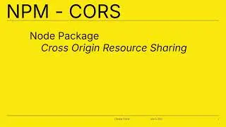 Cross Origin Resource Sharing (CORS) - NPM