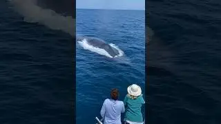 Biggest animal on the planet spawns from the depths! 