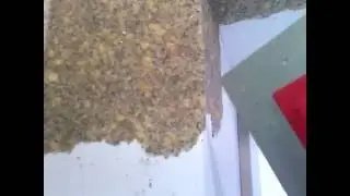 техника нанесение жидких обоев 2