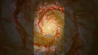 не пропускай это видео! 