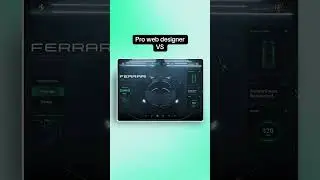 Who win? Pro web designer or template designer 
