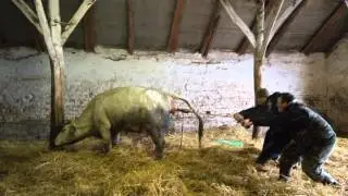 Ellés 2016 03 15
